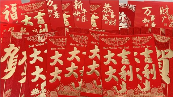 w66给利老牌环保受邀参加中国水泥协会智能制造专业委员会成立大会暨水泥行业数字化转型与智能制造技术论坛插图3